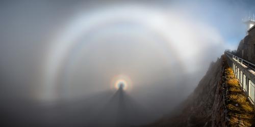 Halo