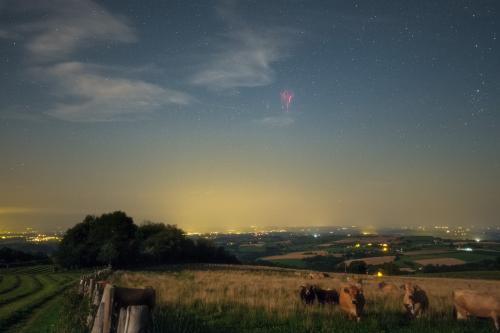 Les vaches et le farfadet